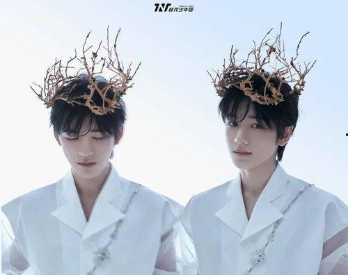 娱乐大瓜爆料宋亚轩小说,娱乐圈的甜蜜瓜果